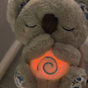 Koala Alivio y Comodidad en un Abrazo Suave